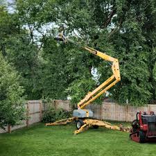 Best Tree Risk Assessment  in Winnebago, MN
